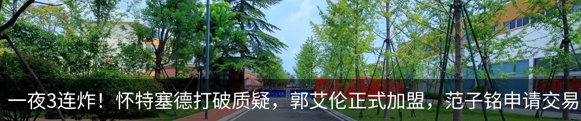 新闻动态